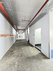 Perfect One (D13), Factory #553989431